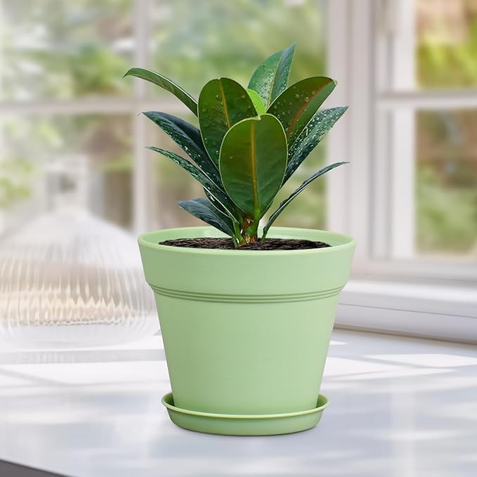 4 inch Small Plastic Nursery Pots, Seedling Pots, 16 Pack Plant Pots for Indoor Outdoor Plants, Flower Pots with Drainage Holes and Saucers, Decorative Planters for House Plants, Green