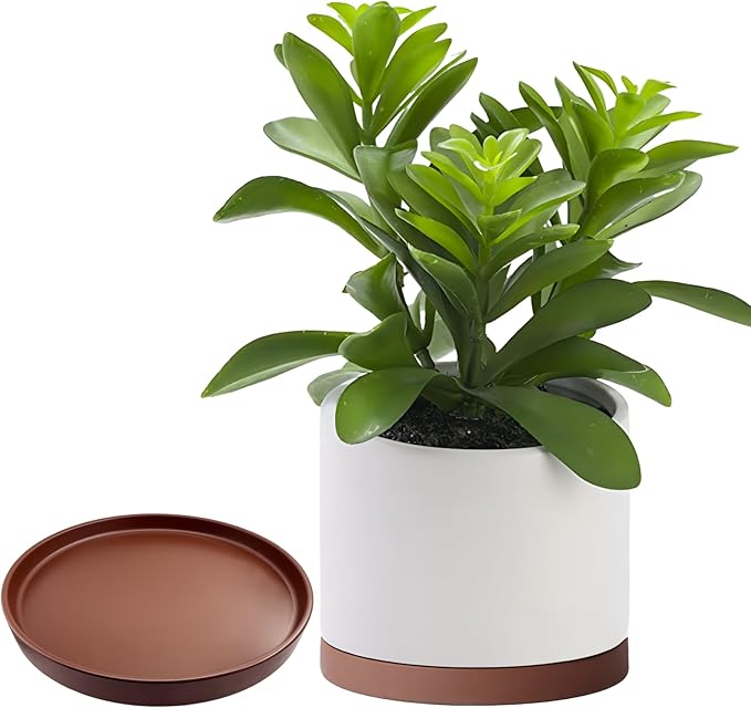 2 Pack Ceramic Plant Saucer Pot Tray 8 Inch, Planter Saucers 4 5 6 7 8 9 10 11 12 13 Inch for Indoors Outdoor, Durable Sturdy Flower Drainage drip Water Tray for Glazed Pots Base (8.5 Inch-Brown)