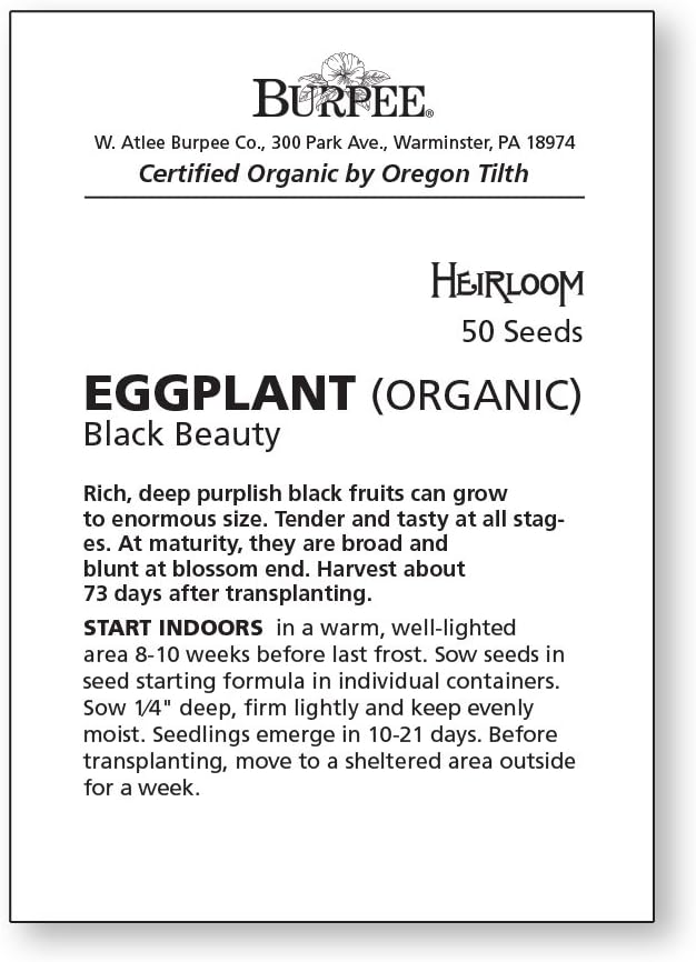 Burpee Black Beauty (Organic) (Heirloom) Eggplant Seeds 50 seeds