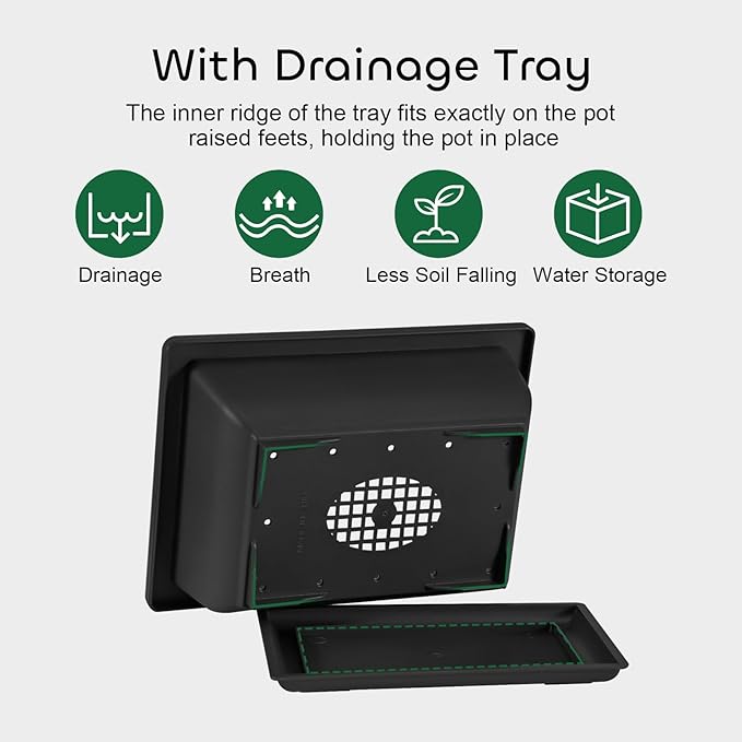 GROWNEER Bonsai Training Pots with Drainage Trays 3 Packs 6.5 Inch, Durable Bonsai Tree Starter Set Kits with Repotting Mat Small Indoor Outdoor Growing Pot Rectangle Planter, Built in Mesh