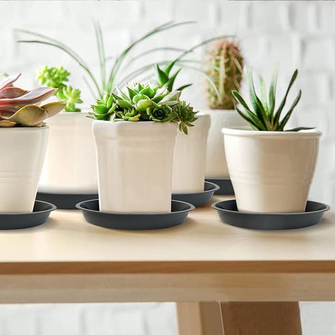 6 Pack Plant Saucer 4 6 8 10 12 14 16 18 20 22 Inch Plastic Plant Tray, Sturdy and Durable Flower Pot Container Accessories Plant Pot Saucers for Indoor and Outdoor (8 Inch, Gray)