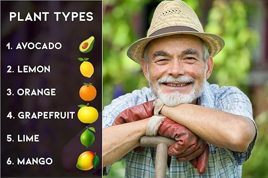 6-4-6 Citrus and Avocado Professional Fertilizer - Cultivate Vibrant Citrus and Avocado Trees with Expert Nutrition - 1 Quart