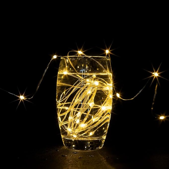 Fairy Lights Plug in,100FT 300 LEDs Waterproof Led String Lights,Twinkle Light with 8 Modes Remote for Outdoor Indoor Christmas Wedding Birthday Garden Party Decorations,Warm White