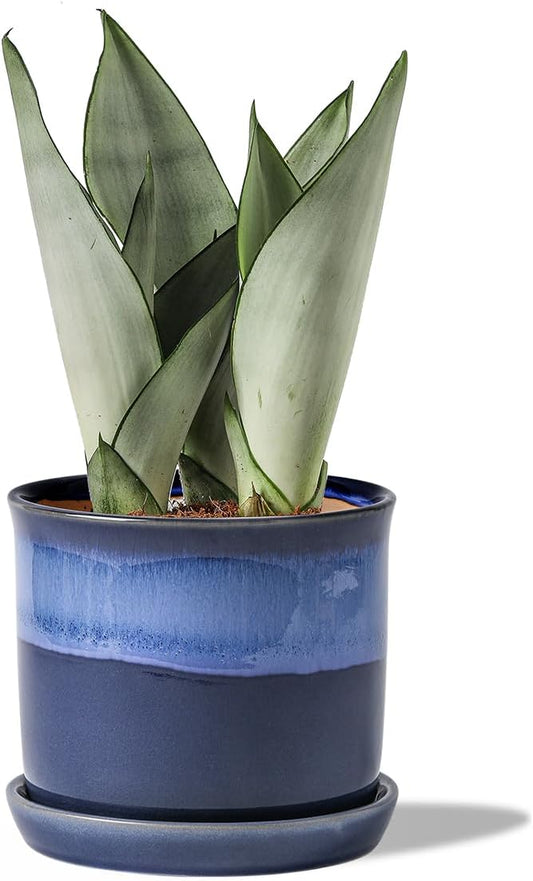 6 Inch Plant Pot: Ceramic Planter with Drainage Hole & Saucer - Gradient Blue Flowerpot for Indoor & Outdoor Plants with Separate Tray