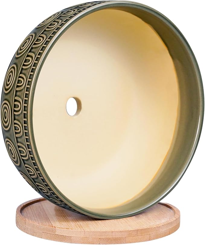 8 Inch Ceramic Succulent Planter Pot with Drainage Hole and Saucer Round Shallow Planter for Indoor Plants, Gray-Green