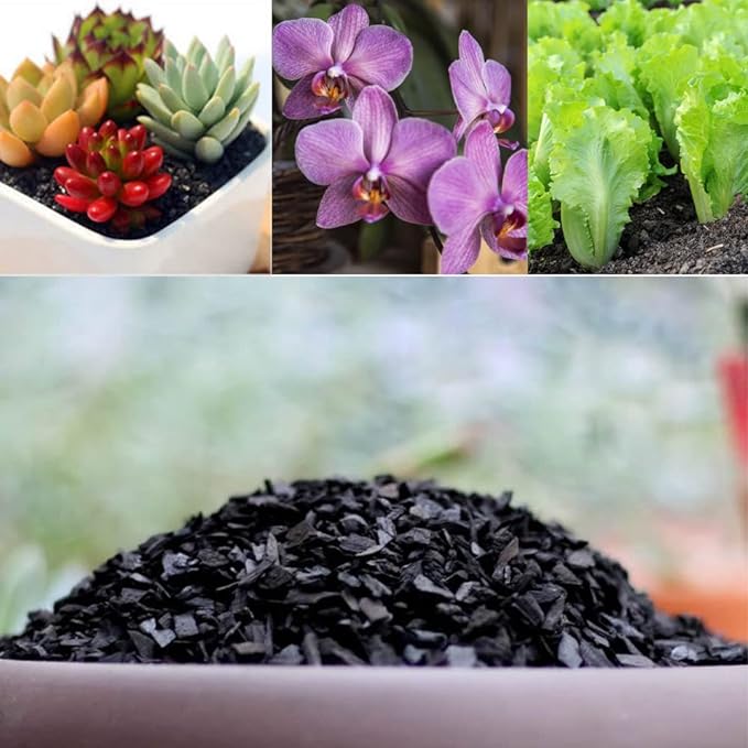 Horticultural Charcoal for Plants 4 qt, All Natural Hardwood Charcoal, Activated Charcoal for Soil Amendment, Orchids, Terrariums, and Gardening