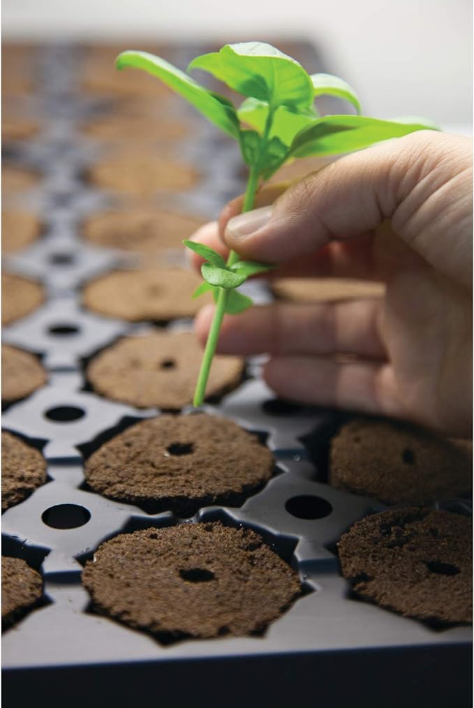 General Hydroponics Rapid Rooter, Starter Plug for Seeds or Cuttings, Great for Soil or Hydroponics Growing System, 50 Plugs