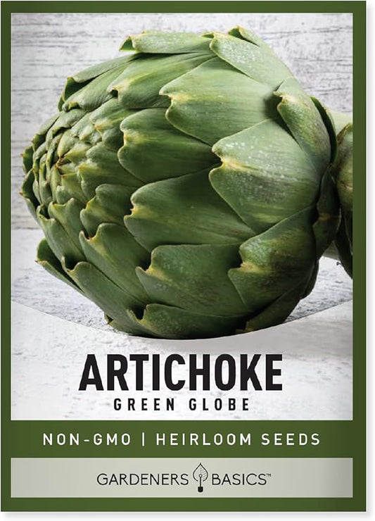 Gardeners Basics, Artichoke Seeds for Planting - Green Globe Non-GMO Perennial Vegetable Variety- 3 Grams Seeds Great for Summer Gardens