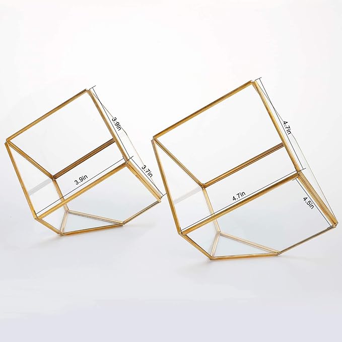 Glass Geometric Plant Terrarium,Succulent & Air Planter for Home Garden Office Decoration(Gold Cubic Set of 2)