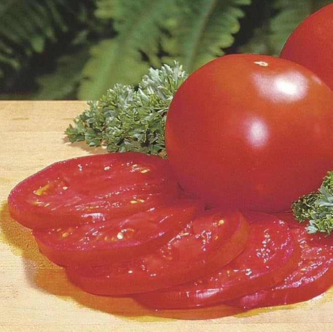 Park Seed Variety of Tomato Vegetable Seeds, Plant Seeds, Easy to Grow, Perfect for Harvesting, Better Bush Improved Hybrid, Pack of 1000