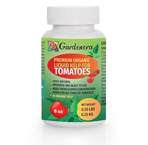 Premium Organic Kelp Concentrate for Tomato Plants - 8 oz - Amplify Tomato Size and Taste for a Satisfying Harvest