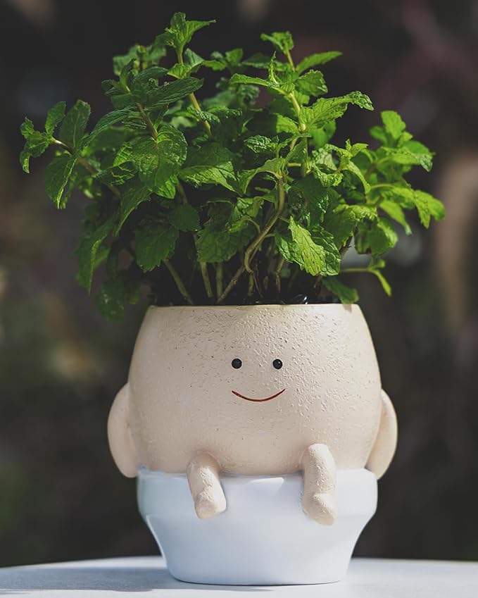 Smily Face Planter Pot Funny Toilet Plant Pots Cute Resin Flower Head Planters Succulent Pots for Indoor Outdoor Plants Unique Bathroom Planter with Drainage Hole (Large)