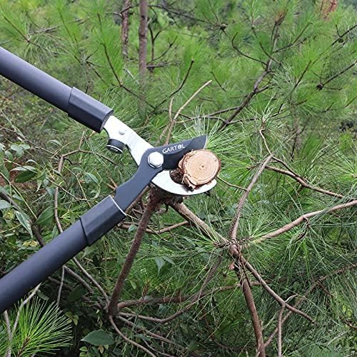 GARTOL Bypass Lopper Heavy Duty 26 Inch Tree Branch Cutter, Sturdy Garden Loppers and Pruners with Shock-Absorbing Bumpers, up to 1-1/2 Inch Cutting Capacity Tree Trimmer