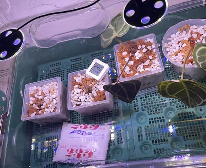 Voulosimi Horticultural Organic Perlite Soil Amendment for Plants and Enhanced Drainage Enhanced,Indoor & Outdoo (10QT, 3/8 inch)