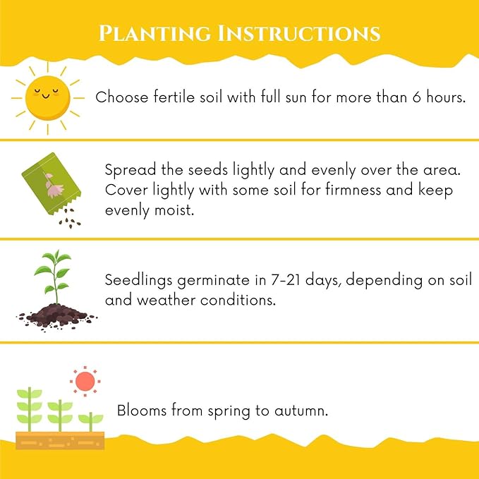 20000+ Double Moss Rose Seeds for Planting - Annual Portulaca Flower Seeds to Plant Outside, Mexican Rose, Sun Rose, Rock Rose, 4 Seasons 5 Grams