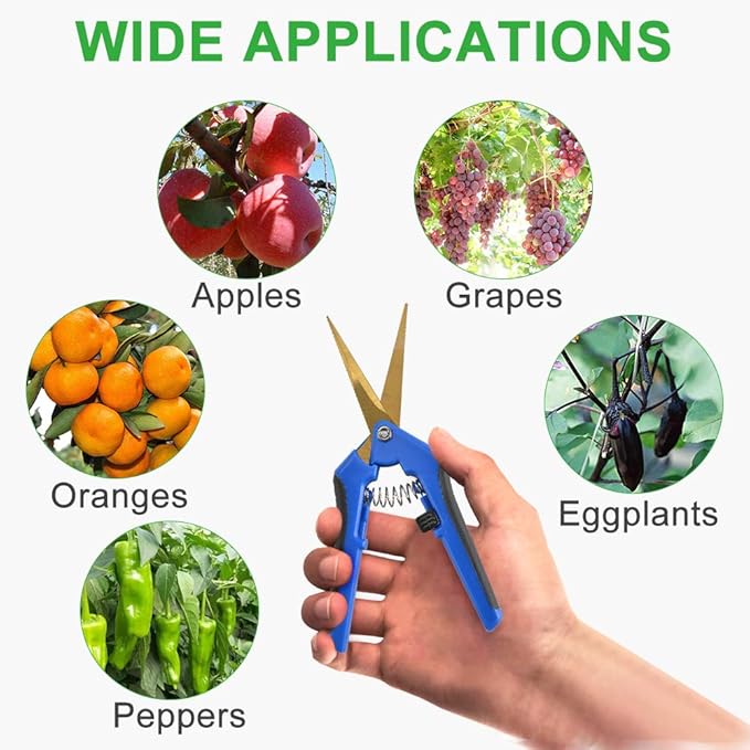 GROWNEER 6 Packs 6.5 Inch Pruning Shears with Curved Blades Trimming Scissors For Gardening Hand Pruning Snips Titanium Coated Precision Blades