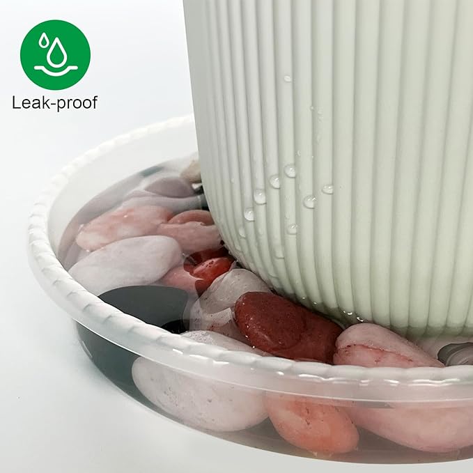 5 Pack Plant Saucer for Indoor Plants, 8 Inch Clear Plant Trays for Pots, Durable Plastic Flower Plant Pot Saucer, Heavy Duty Sturdy Plant Saucer Drip Trays for Pots