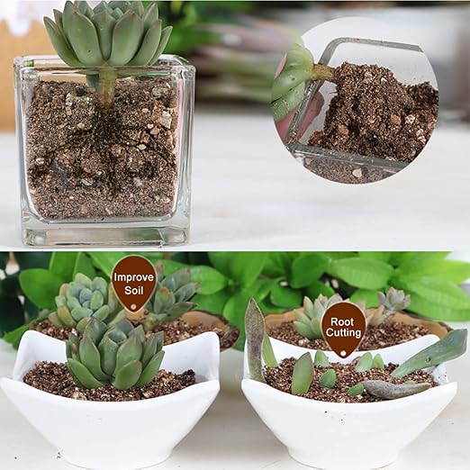 Organic Vermiculite 4 qt by Doter, Increases Water and Nutrient Retention and Aerates The Soil, Perfect for Root Cuttings, Seed Germination, Arranging Flowers, and Bedding for Invertebrates