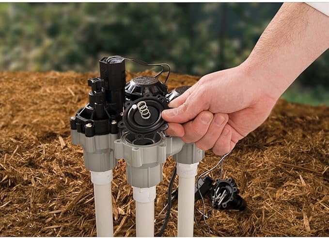 Rain Bird DASASVF075 Professional Grade Anti-Siphon Valve with Flow Control, 3/4" Threaded Female x Female