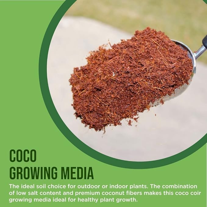 Coco Coir Chips Envelor 2.4 Cubic Feet Compressed Coconut Coir Bricks 10 lb. Natural Substrate for Indoor Outdoor Coco Chips for Plants Orchid Bark Coco Coir Brick Plant Soil Indoor Potting Mix