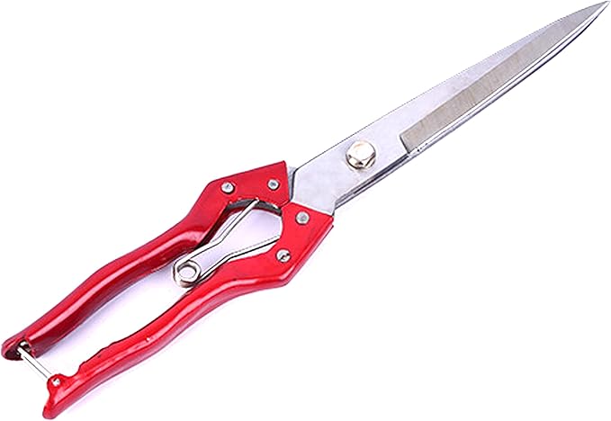 Grass Shear Sheep Shear Alpaca Shear - Coated Wear-Resistant Handle, Manganese Steel Double Blade, Strong Spring Suitable For Cattle And Sheep and Horse Hair Hand-Cut (Red 12.6 inches)