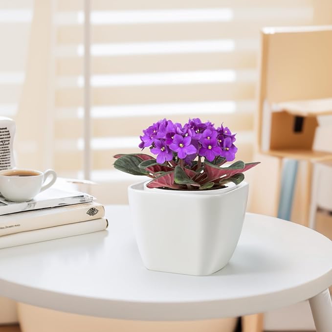 African Violet Pots, 6 Inch Self Watering Pot for Indoor Plants,Ceramic Self Watering Pots,Easy Plant Self Watering Planter for Busy Plant Lovers, Flower Pot with Absorbent Inner Pot - White
