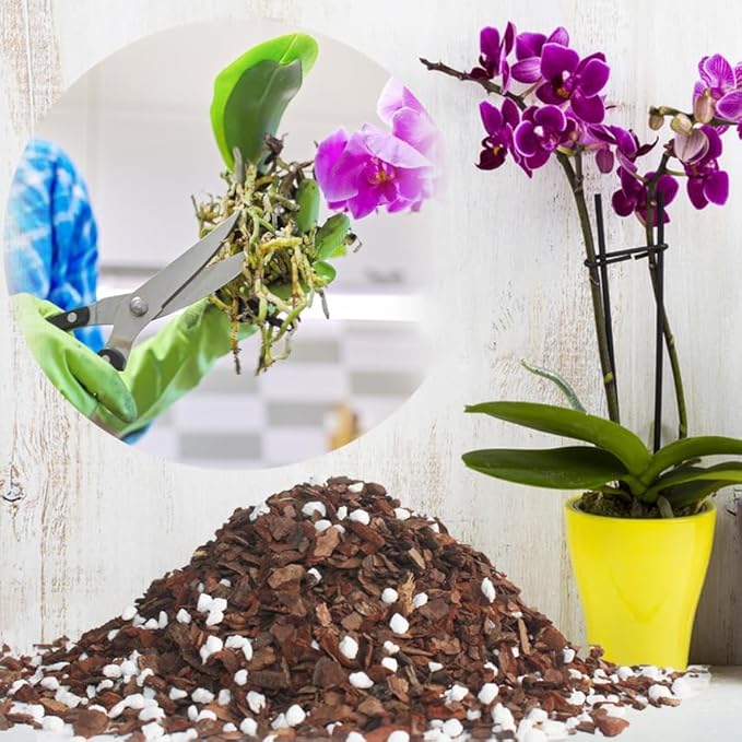 2QT Orchid Potting Mix with Mix Pine Bark & Perlite, Orchid Repotting Soil Medium Great for Indoor Plant Root Climbing & Expanding