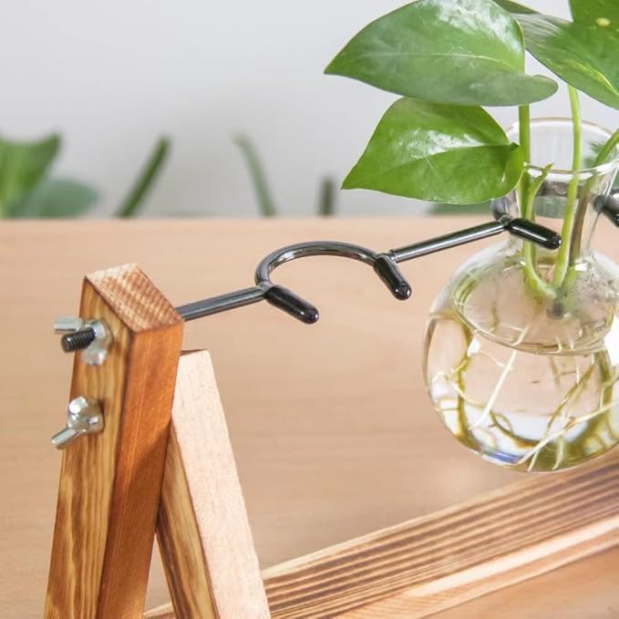 Ivolador Propagation Station, Bulb Plant Terrarium,Planter and Holder Plant Lover Gifts for Women ，Gifts for mom，Plants Home Garden Wedding Decor (3 Bulb-C Type)