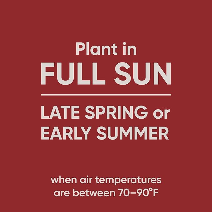 Scotts Pursue Buffalograss with Natural Seed, Seeding for Large Areas, 1 lb.