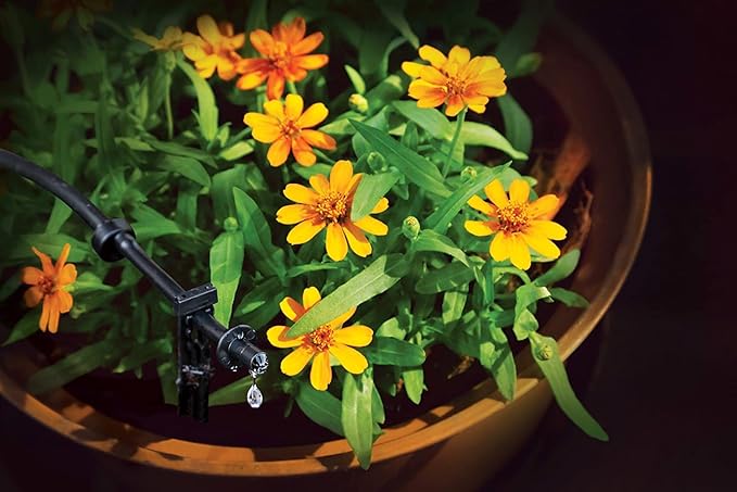 Rain Bird PATIOKIT Drip Irrigation Patio Watering Kit, Connects to Faucet, 1/4" Drip Tubing,Black