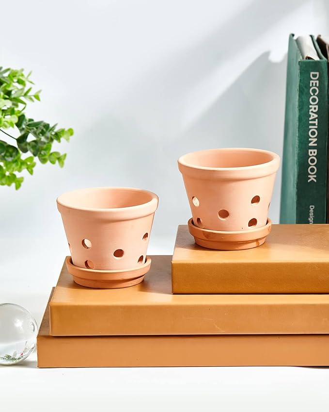 vensovo 8 Inch Terracotta Orchid Pots with Holes and Saucers - 2 Pcs Large Clay Planters for Repotting, Terra Cotta Pot for Plants Indoor and Outdoor Promotes Air Circulation