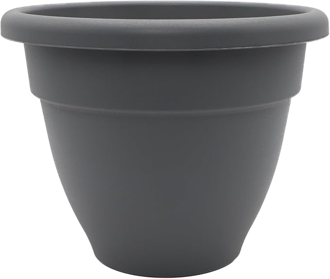 The HC Companies 6 Inch Caribbean Planter - Lightweight Indoor Outdoor Plastic Plant Pot for Herbs and Flowers, Warm Gray