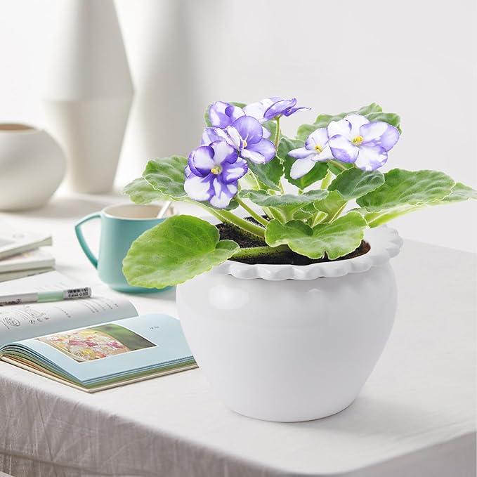 African Violet Pots 8 inch White Ceramic Easy Plant Self Watering Pot Ceramic Flowerpot with Water Absorbing Inner Pot Orchid Planter for Best Gifts Lawn Yard Outside Decor