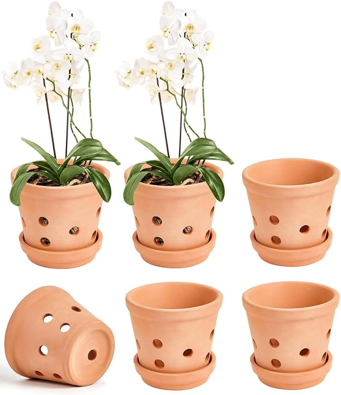 vensovo 4 Inch Terracotta Orchid Pots with Holes and Saucers - 6 Pcs Small Clay Planters for Repotting, Terra Cotta Pot for Plants Indoor and Outdoor Promotes Air Circulation