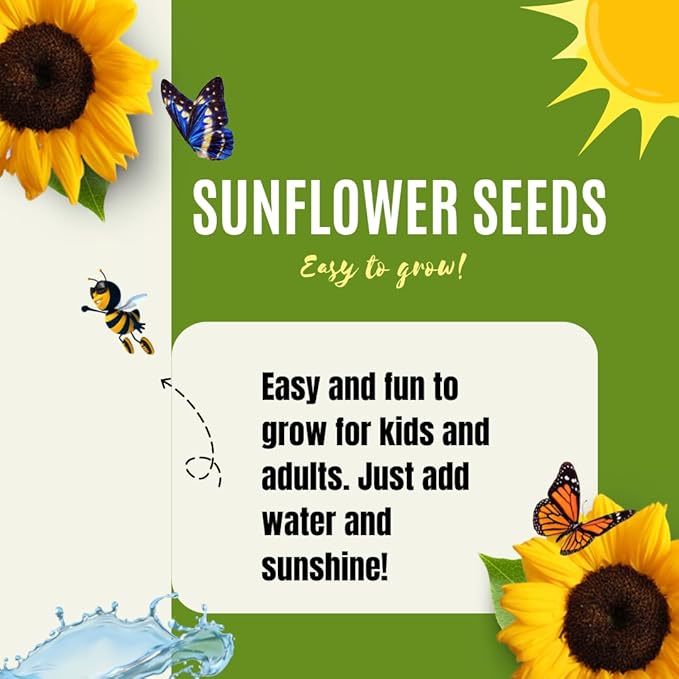 Dwarf Sunflower Seeds for Planting - to Plant and Grow Teddy Bear and Sunspot in Your Flower Garden.