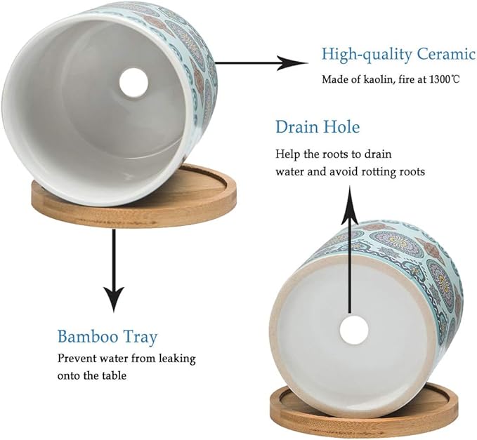 Succulent Plant Pots - 3.1 inch Ceramic Succulent Planter -Cylinder Flower Pots for Cactus with Drainage Hole and Bamboo Tray, 6 Pack、Plants not Included (Multicolor2)