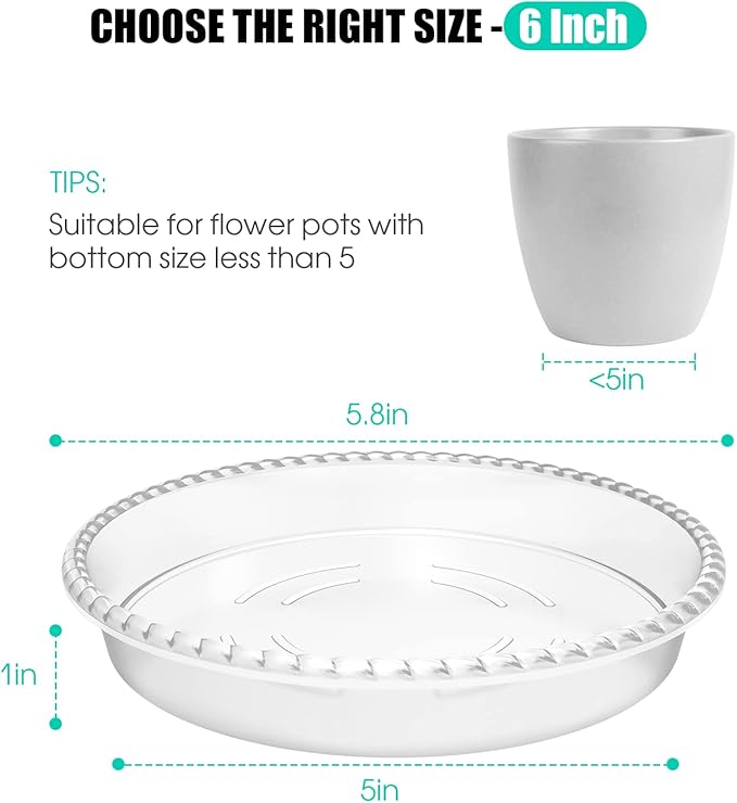 6 Pack Plant Saucer 6 8 10 12 14 Inch Plastic Plant Tray, Sturdy and Durable Flower Pot Container Accessories Plant Pot Saucers for Indoor and Outdoor (6 Inch, Clear)
