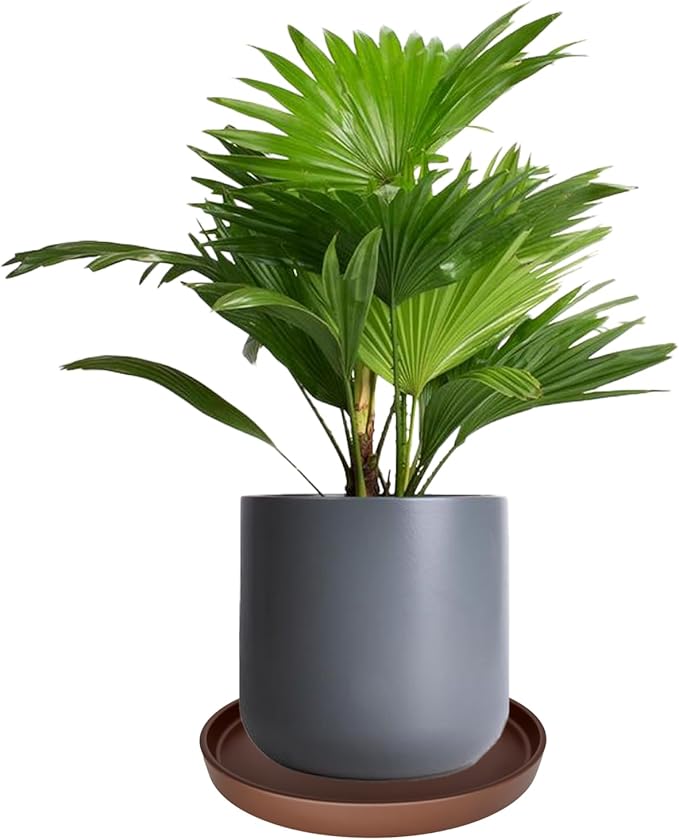 2 Pack Ceramic Plant Saucer Pot Tray 8 Inch, Planter Saucers 4 5 6 7 8 9 10 11 12 13 Inch for Indoors Outdoor, Durable Sturdy Flower Drainage drip Water Tray for Glazed Pots Base (8.5 Inch-Brown)