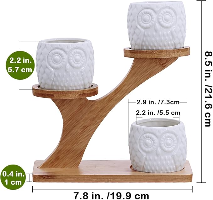 3pcs Owl Succulent Pots with 3 Tier Bamboo Saucers Stand Holder - White Modern Decorative Ceramic Flower Planter with Drainage - Home Office Desk Garden Mini Cactus Plant Pot Indoor Decoration