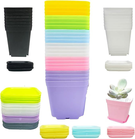 56PCS 3inch Plastic Nursery Pots,Square Plants Seedling Pots,Multicolor Small Transplanting Flower Pots for Indoor Outdoor,Succulents,Office Home Garden and Balcony Decor(8 Colors)