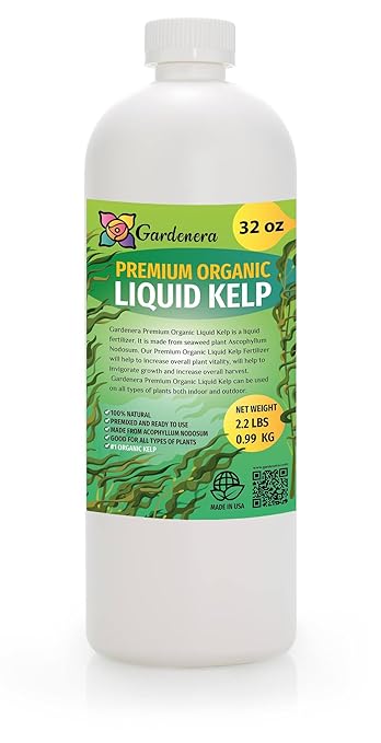 Organic Liquid Kelp Fertilizer - 1 Quart [32 oz] - Organic Plant Superfood for Gardening - Concentrated Kelp & Seaweed Extract for Gardens, Lawns, Plants & Soil