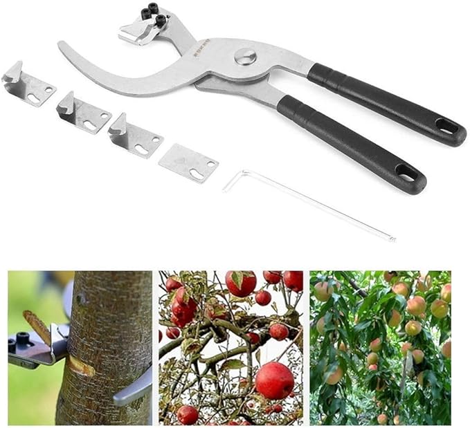 Stainless Steel Fruit Tree Peeler Stripper Scissor Branches Cutter Garden Hand grafting Tools Tree Pruning Shears with 4 Blades of Different Shapes