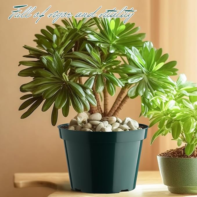 8 Inch Plastic Plant Pots, 15 Pack Sturdy Nursery Pots with Drainage Holes, Flower Planter Pots for Indoor Outdoor, Garden Containers Sets for Vegetable Herbs Flowers, Green