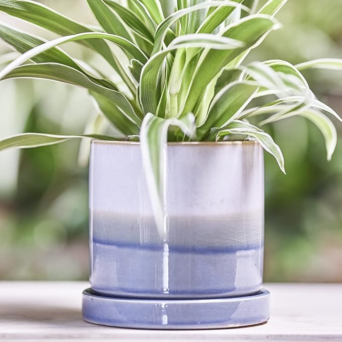 CHIVE ‘Minute’ Ceramic Planter Pot — Cute 5” Colorful Succulent Pots for Indoor & Outdoor House Plants — Beautiful Modern Farmhouse Kitchen Decor — Blue Layer