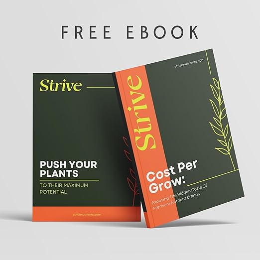 Strive Fertilizer Part B Package - Veg + Bloom General Hydroponic Nutrients - Premium Indoor, Outdoor and Soil Growing Plant Food - Enhancer - Booster for Vegetables, Succulents, Flowers & More