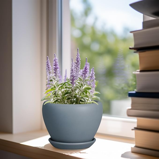 Ceramic Pot for Plants - 6 Inch Plant Pot Indoor with Drainage Hole and Saucer Decorative Planter for Outdoor Plants Modern Succulent Pot Round Flower Pot Gray
