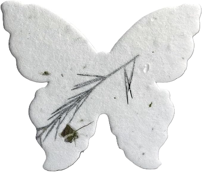 Of The Earth Handmade Paper - Wildflower Seed Paper Butterfly Shape - Large 3" - Set of 24 (36s Fern & Chard)