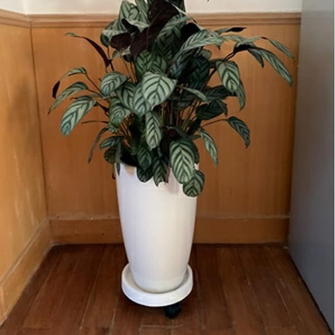 2 Pack of 11 Inch Heavy Duty Plant Caddy with Wheels,Rolling Plant Stand Pot Trolley,Wheeled Planter Saucer Tray,Potted Flower Mover Dolly with Casters Round Coaster for Indoor Outdoor