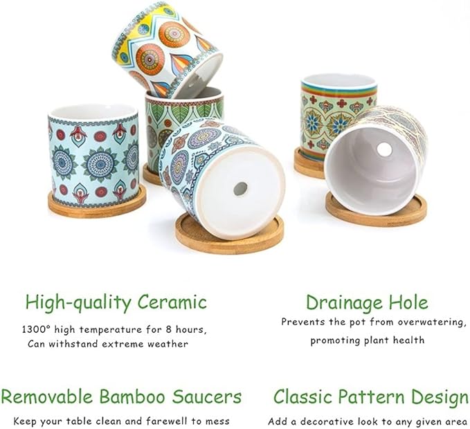 Succulent Plant Pots - 3.1 inch Ceramic Succulent Planter -Cylinder Flower Pots for Cactus with Drainage Hole and Bamboo Tray, 6 Pack、Plants not Included (Multicolor2)