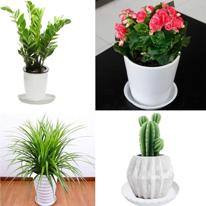 12 Packs Wave Plant Saucer - Plastic Flower Pot Drip Trays/Durable Heavy Duty White Plant Tray for Indoor and Out Door Plant(6/8/10 inch)